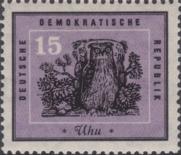 Eurasian Eagle-Owl (Bubo bubo)