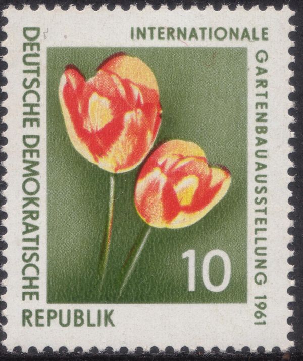 Garden show - Tulips (Tulipa Gesneriana)