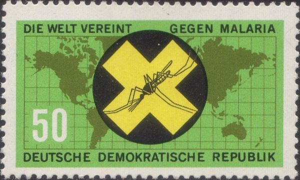 Yellow Cross with gnat