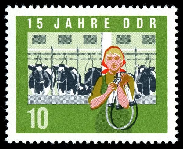 Milkmaid, Dairy Plant