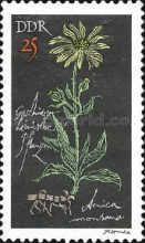 Wolf's Bane (Arnica montana)
