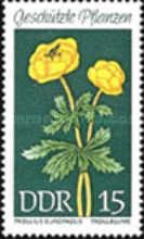 Globe Flower (Trollius europaeus)