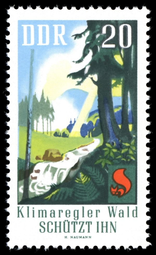 The Forest Regulates the Water Balance of Nature