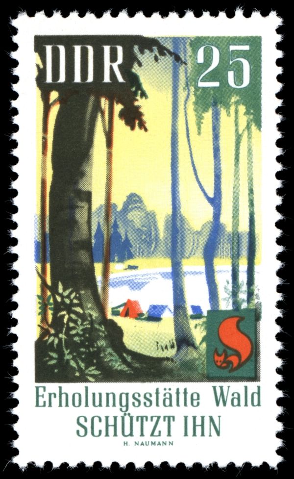 Forest Lake with Campground