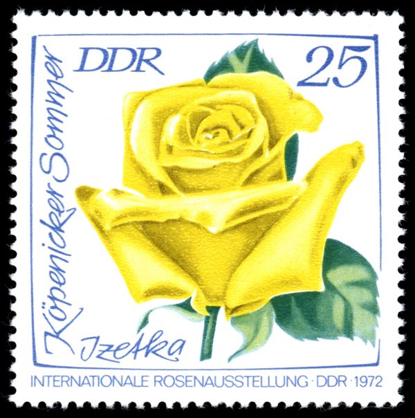 Köpenicker Sommer