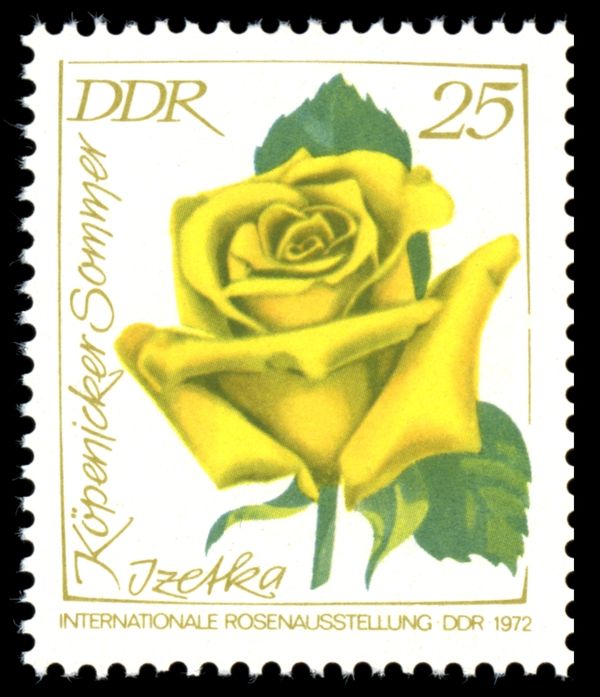 Izetka Köpenicker Sommer
