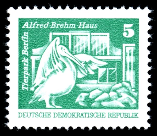 Alfred Brehm House, Berlin Zoo