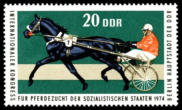 Trotter; Harness Racing