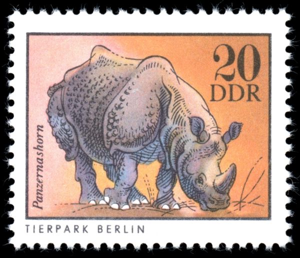 Indian Rhinoceros (Rhinoceros unicornis)