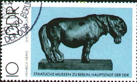 Shetland Pony, Heinrich Drake