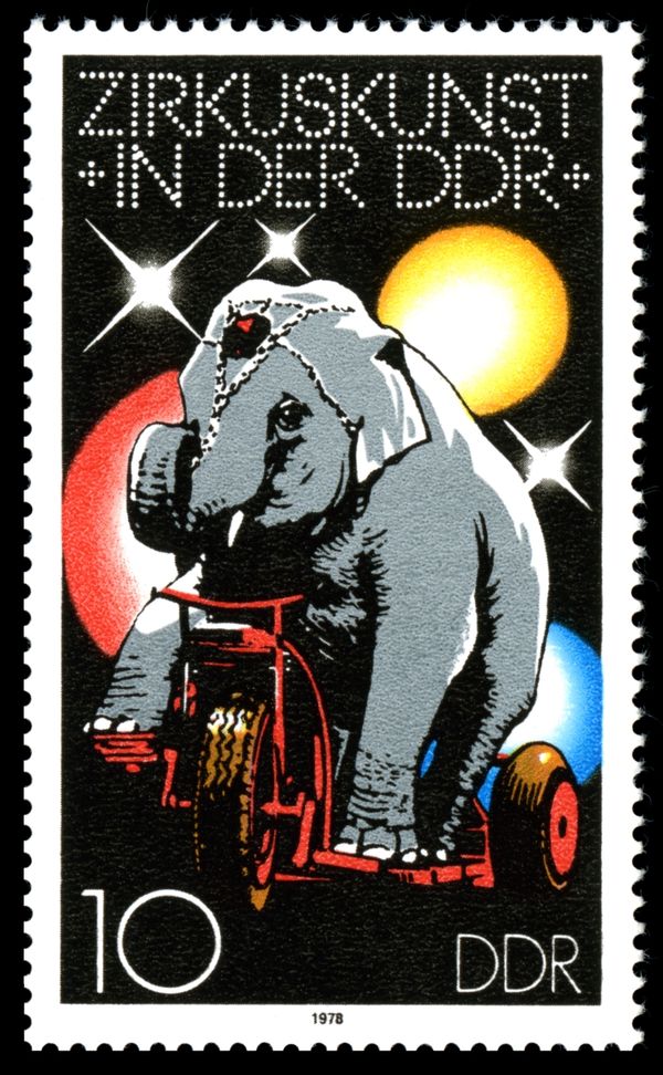 Asian Elephant (Elephus maximus) on Tricycle