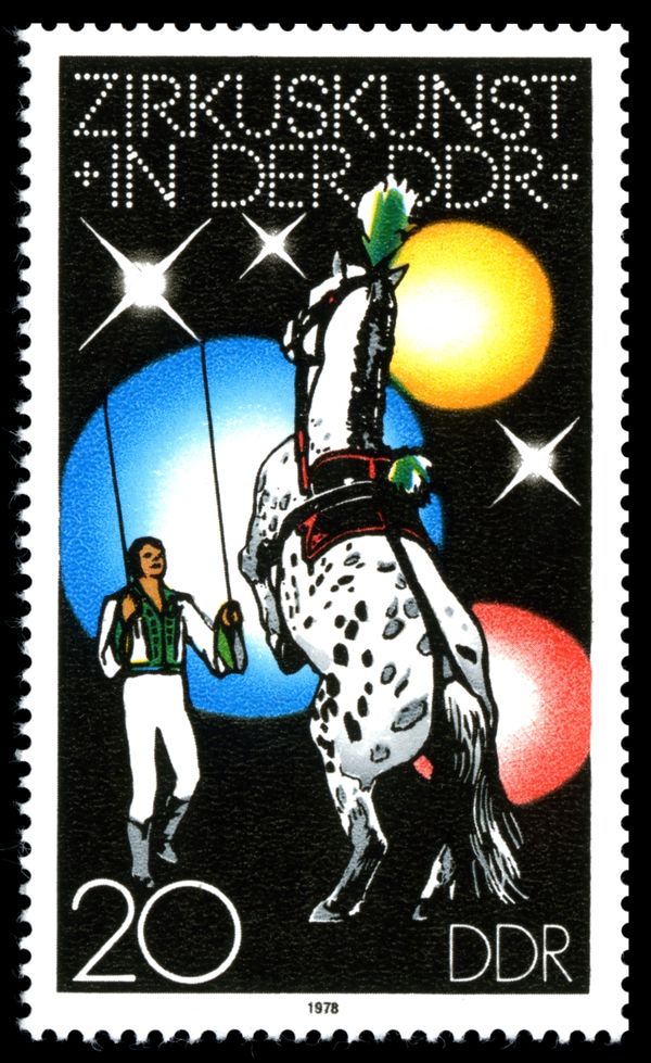 Dressage Horses