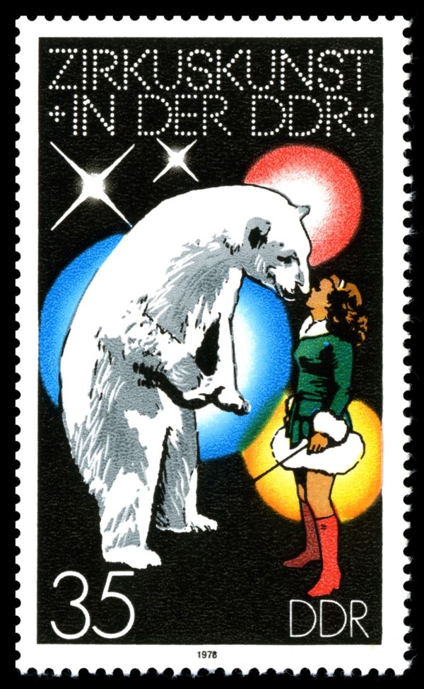 Polar Bear (Ursus maritimus) kissing a Girl