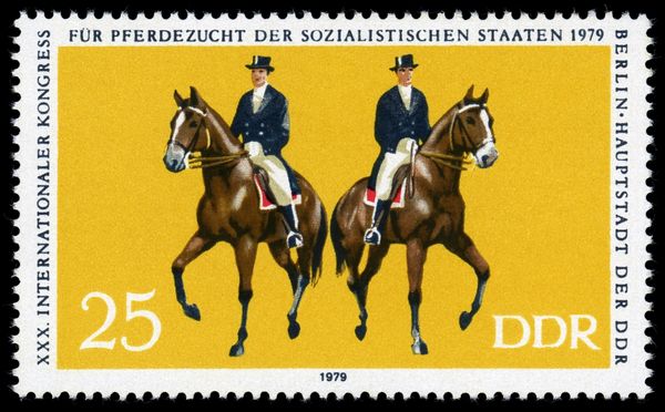 Dressage (Pas de deux)