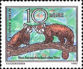 Lesser Panda (Ailurus fulgens)
