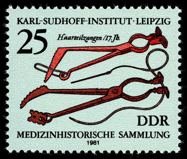 Hair-wire Pliers (17th century)