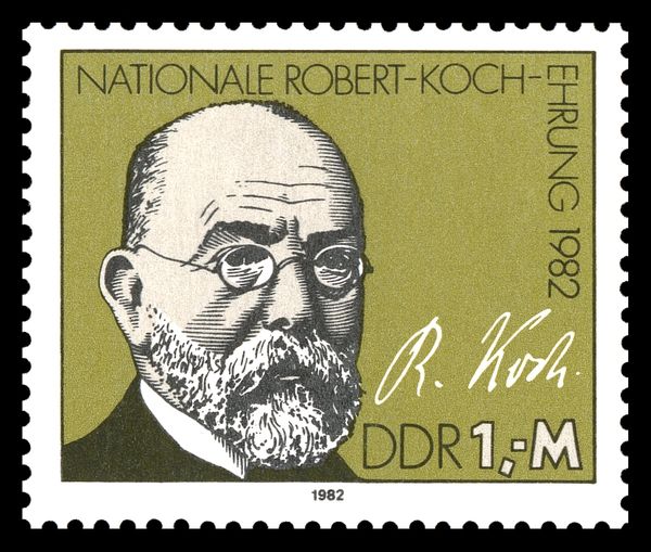 R. Koch