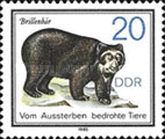 Spectacled Bear (Tremarctos ornatus)