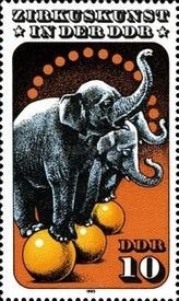 Elephant training