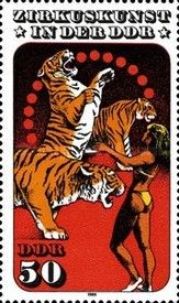 Tiger Dressage