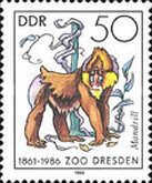 Mandrill (Mandrillus sphinx)