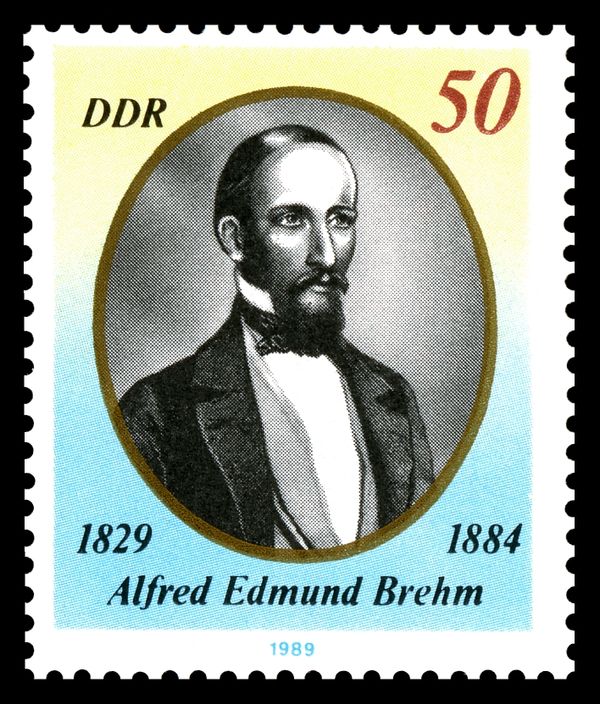 Alfred Edmund Brehm (1829-1884)
