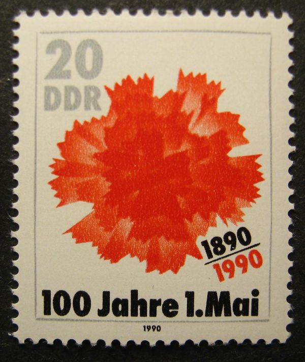 Red Carnation
