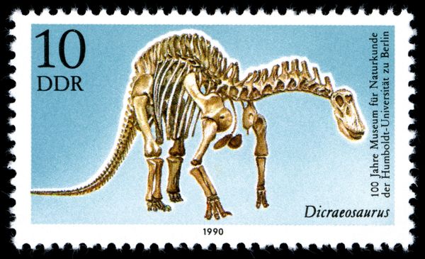 Dicraeosaurus hansemanni