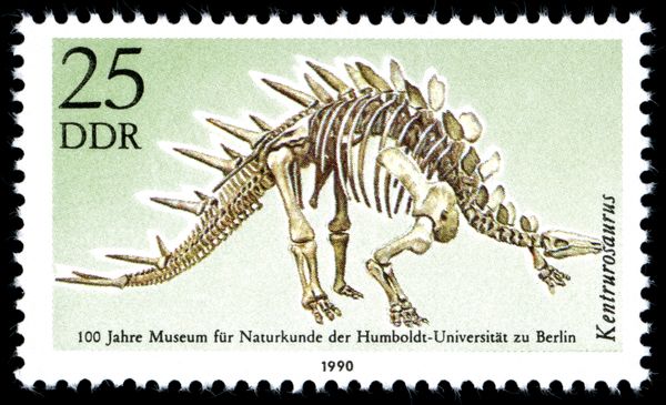 Kentrurosaurus aethiopicus