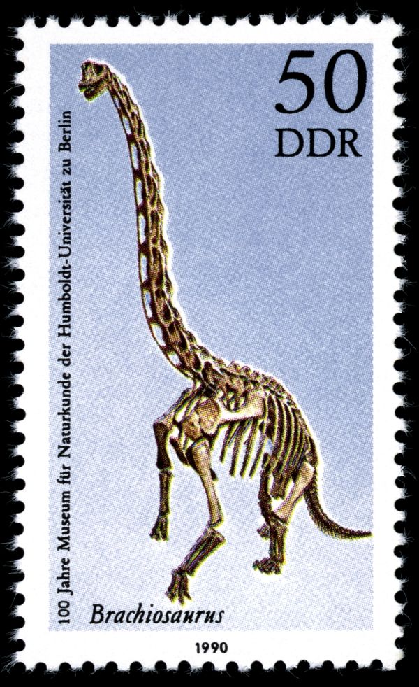 Brachiosaurus brancai