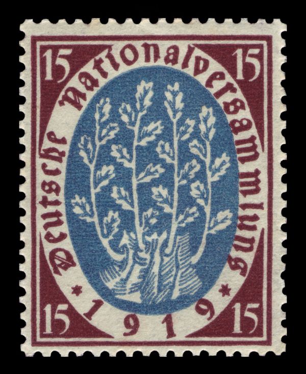 Tree shoots