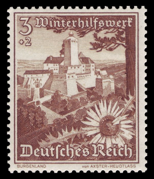 Forchtenstein stronghold, silver thistle