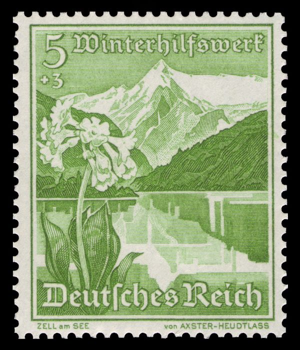 Zell am See, Mountain Cowslip
