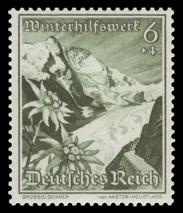 Grossglockner, edelweiss