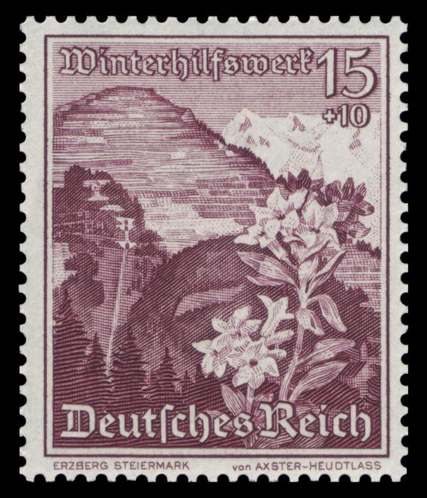 Erzberg, Styria - alpine rose