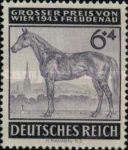 Racing horse