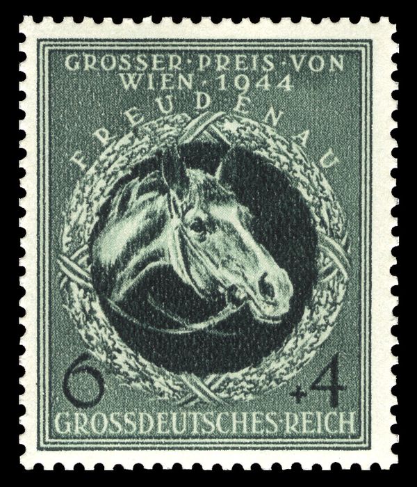 Head of a Race Horse