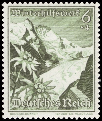 Zell am See, Mountain Cowslip and Grossglockner, Edelweiss