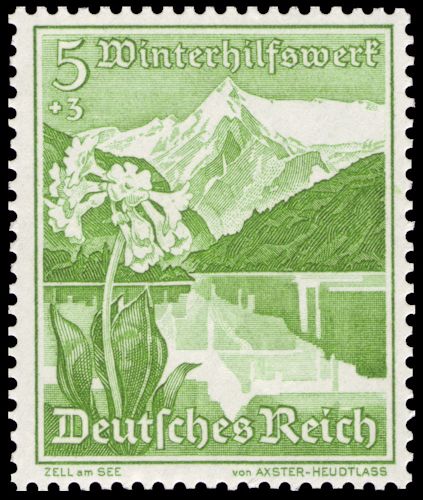 Zell am See, Mountain Cowslip and Grossglockner, Edelweiss