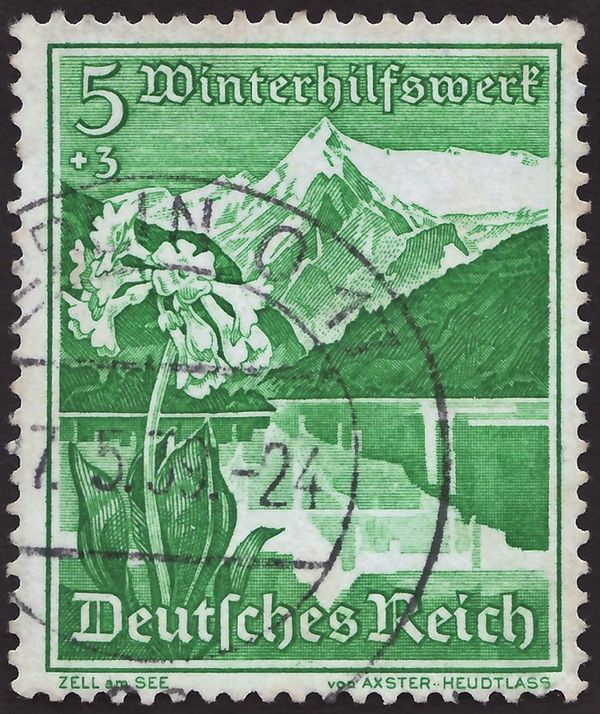 Zell am See, Mountain Cowslip and Grossglockner, Edelweiss