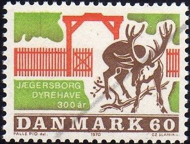 Red Deer in Jægersborg Deer Park (Cervus elaphus)