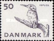 Common Kingfisher (Alcedo atthis)