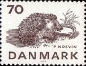 West European Hedgehog (Erinaceus europaeus)