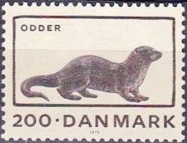 Eurasian Otter (Lutra lutra)