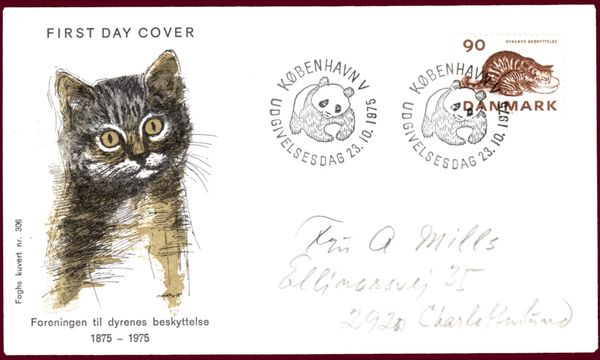 Domestic Cat (Felis silvestris catus)