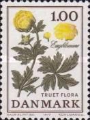 Globe Flower (Trollius europaeus)