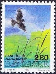Eurasian Skylark (Alauda arvensis)