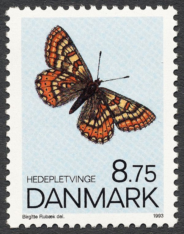 Marsh Fritillary (Euphydryas aurinia)