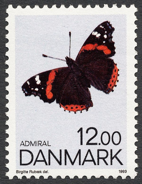 Red Admiral (Vanessa atalanta)