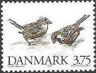 House Sparrow (Passer domesticus)